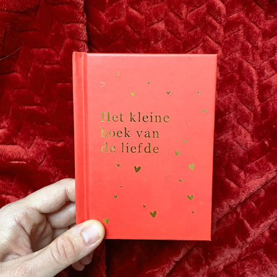Het kleine boek van de liefde
